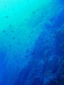 img003.jpeg.small.jpeg