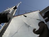 img005.jpeg.small.jpeg